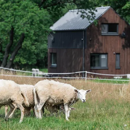 Vilanovka - Z Prywatna Balia Przy Stawie I Lesie Holiday home Wilanowo (Kartuzy)