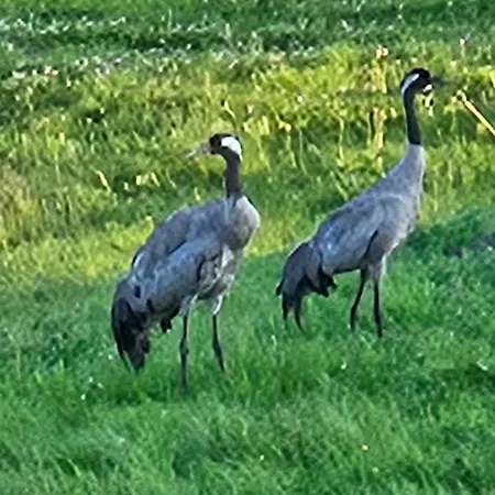 Vilanovka - Z Prywatna Balia Przy Stawie I Lesie Holiday home *