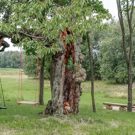 Holiday home Vilanovka - Z Prywatna Balia Przy Stawie I Lesie Wilanowo (Kartuzy)