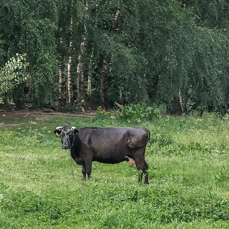 Vilanovka - Z Prywatna Balia Przy Stawie I Lesie * Wilanowo (Kartuzy)