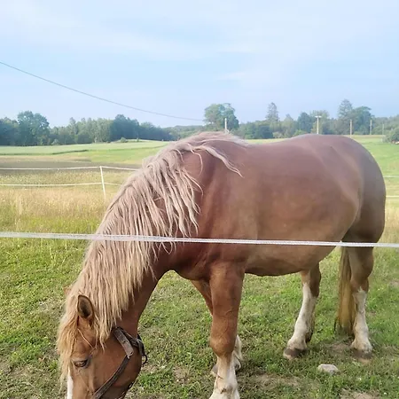 Holiday home Vilanovka - Z Prywatna Balia Przy Stawie I Lesie *