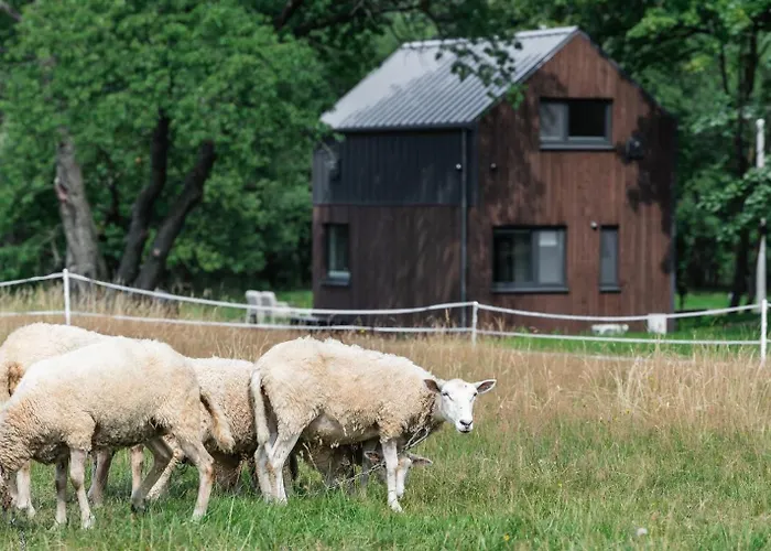 Vilanovka - Z Prywatna Balia Przy Stawie I Lesie Casa vacanze Wilanowo (Kartuzy)