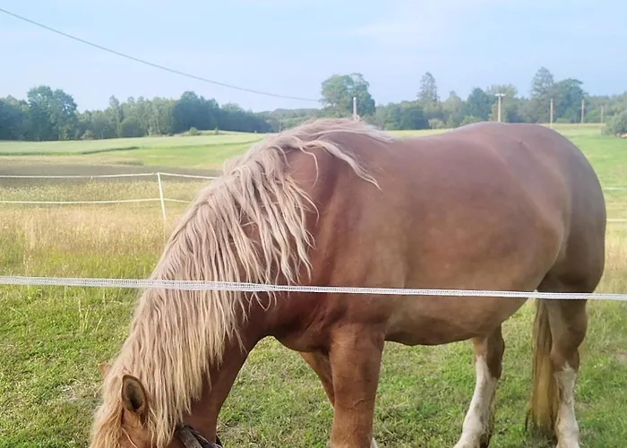 בית נופש Vilanovka - Z Prywatna Balia Przy Stawie I Lesie *